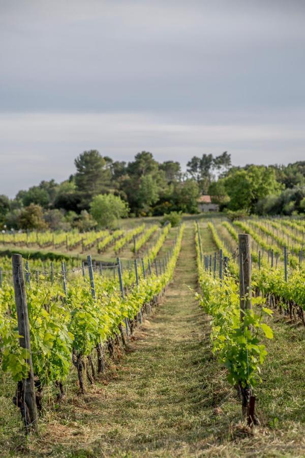 דראגיניאן Domaine Rabiega - Vineyard And Boutique Hotel מראה חיצוני תמונה