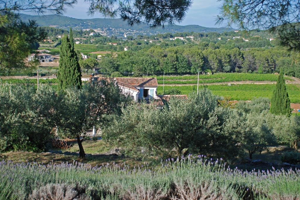 דראגיניאן Domaine Rabiega - Vineyard And Boutique Hotel מראה חיצוני תמונה