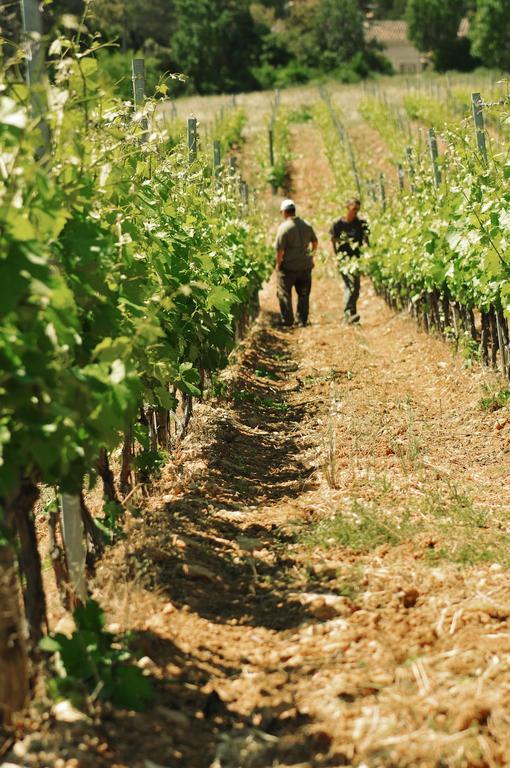 דראגיניאן Domaine Rabiega - Vineyard And Boutique Hotel מראה חיצוני תמונה