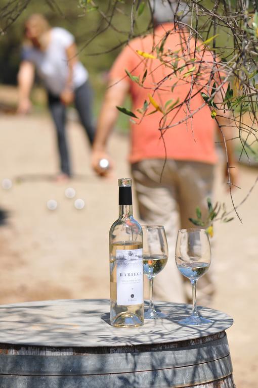 דראגיניאן Domaine Rabiega - Vineyard And Boutique Hotel מראה חיצוני תמונה