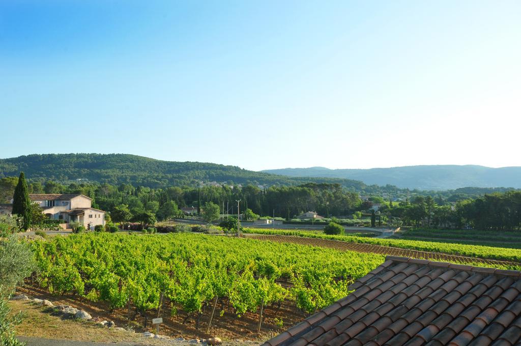 דראגיניאן Domaine Rabiega - Vineyard And Boutique Hotel מראה חיצוני תמונה